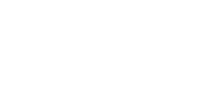 Nick James Investigations, INC